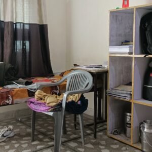 IMG20250118130310 IMG20250118130310