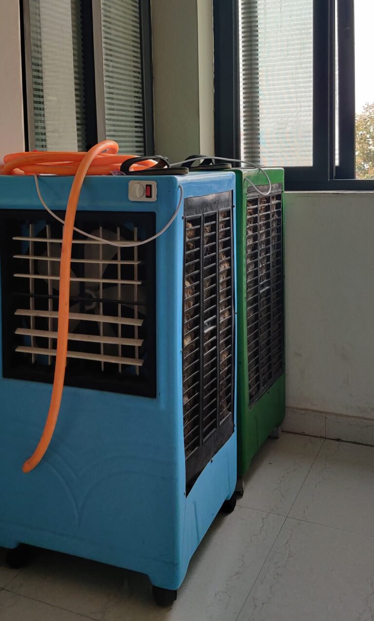 IMG_20250111_165350 IMG_20250111_165350