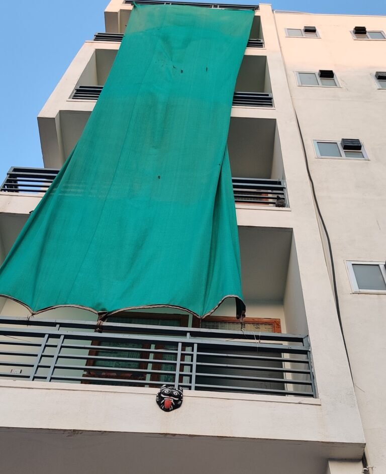 IMG_20250117_173318 IMG_20250117_173318