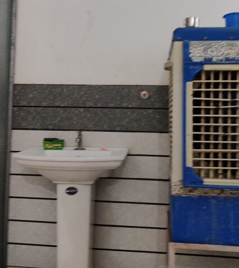 IMG_20250117_173410 IMG_20250117_173410