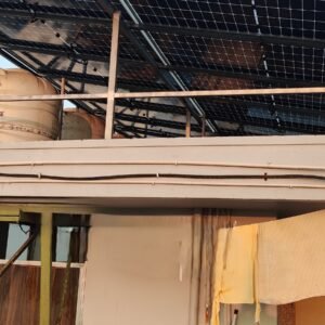 IMG_20250117_173805 IMG_20250117_173805