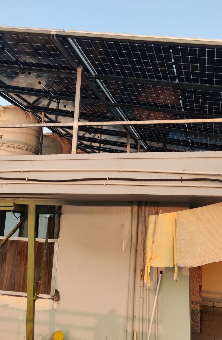 IMG_20250117_173805 IMG_20250117_173805