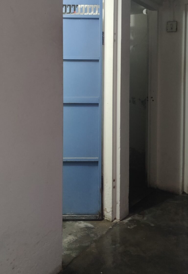 IMG_20250120_181241 IMG_20250120_181241