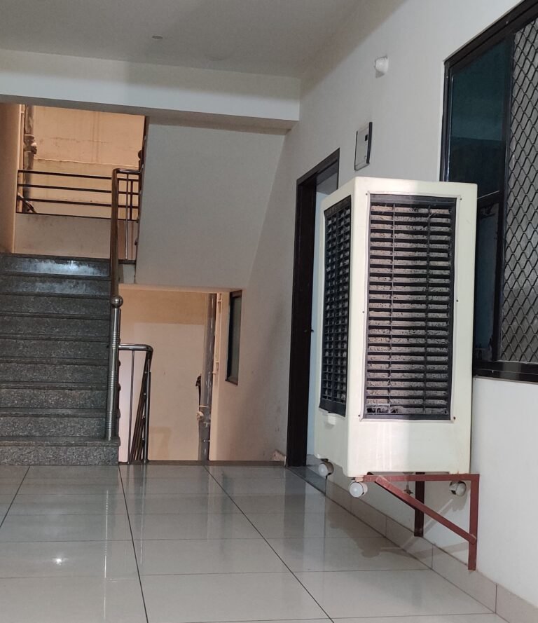 IMG_20250122_115033 IMG_20250122_115033