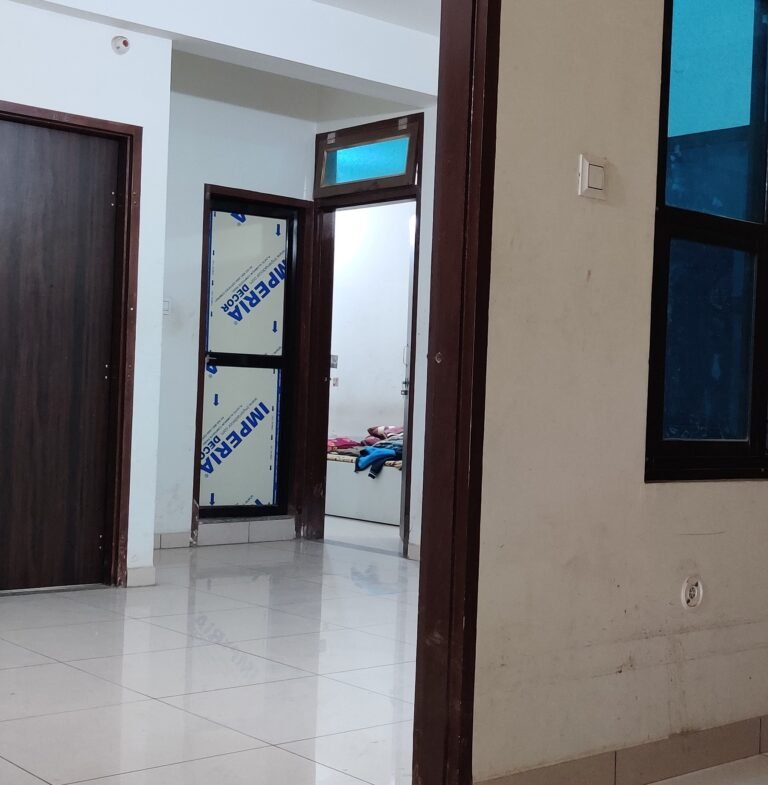 IMG_20250122_115041 IMG_20250122_115041