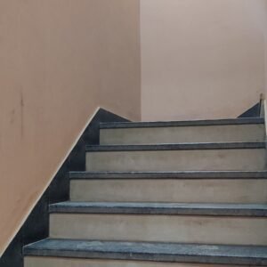 IMG_20250126_153526 IMG_20250126_153526