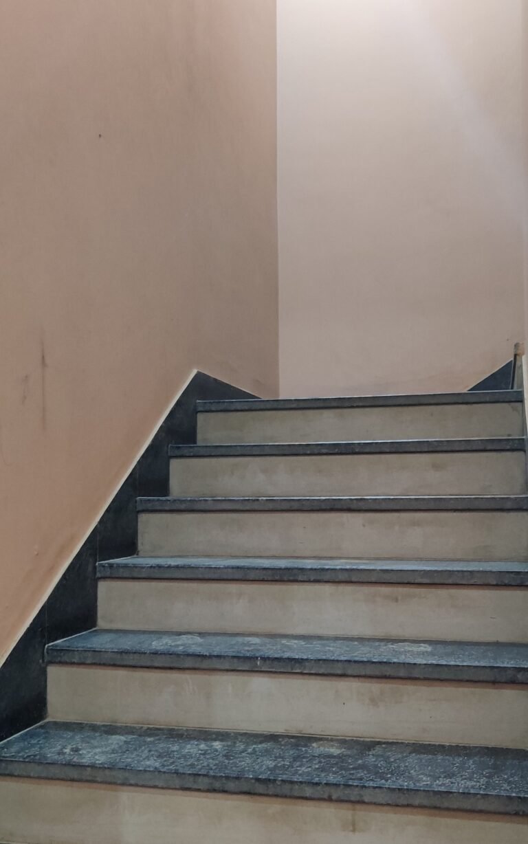 IMG_20250126_153526 IMG_20250126_153526