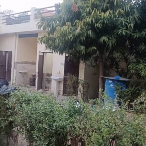 WhatsApp Image 2025-01-14 at 17.56.03_09304a15