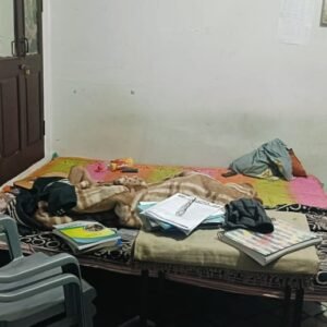 WhatsApp Image 2025-01-15 at 11.54.59_7daed811 WhatsApp Image 2025-01-15 at 11.54.59_7daed811