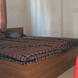 IMG20250128113953 IMG20250128113953