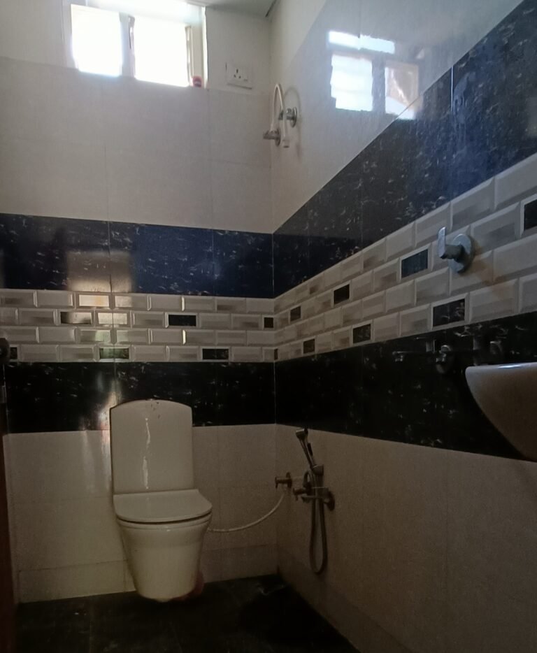 IMG20250128114106 IMG20250128114106