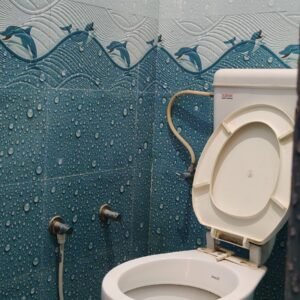 IMG_20250127_120100 IMG_20250127_120100