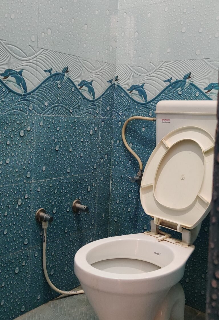 IMG_20250127_120100 IMG_20250127_120100