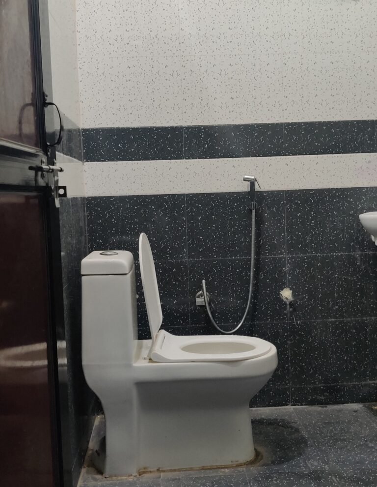 IMG_20250127_125242 IMG_20250127_125242