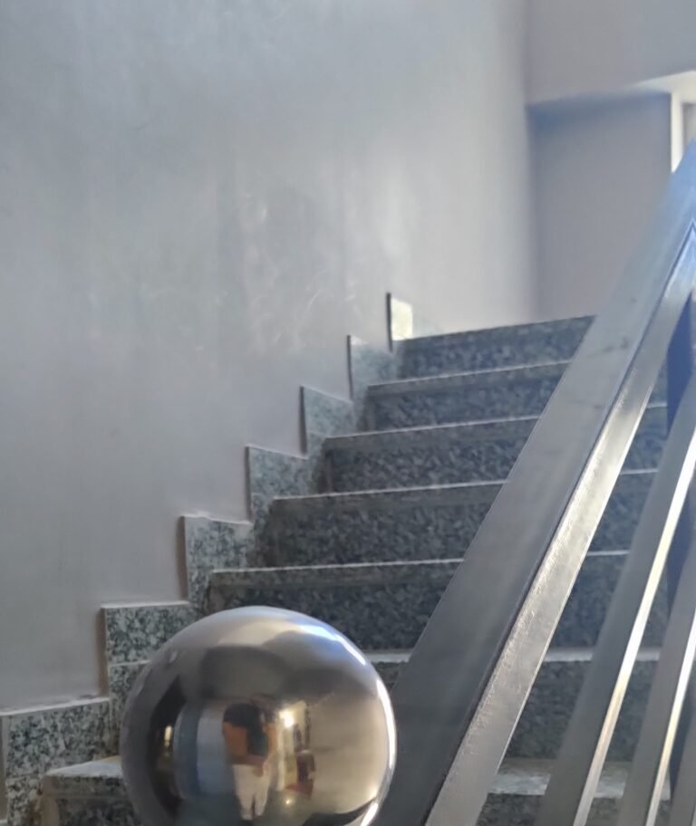 IMG_20250127_125251 IMG_20250127_125251