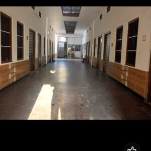 WhatsApp Image 2025-02-07 at 19.58.48_0781963e